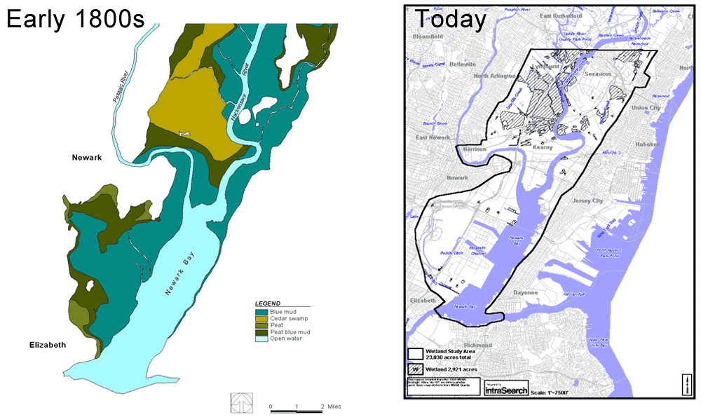 Urban Habitats Historical and Current Ecology of the Lower Passaic River